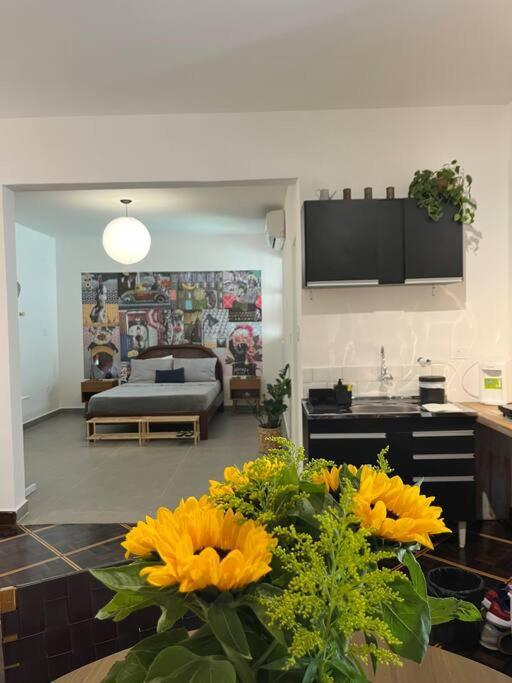 Studio Em Casa Ao Lado Do Parque. Casa 03. 圣保罗 外观 照片