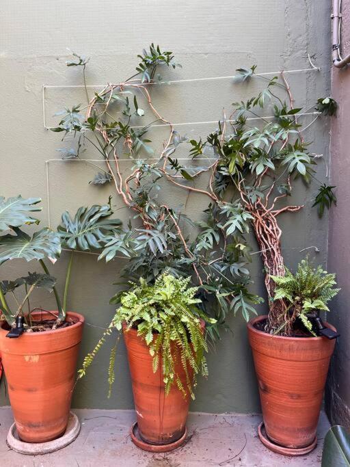 Studio Em Casa Ao Lado Do Parque. Casa 03. 圣保罗 外观 照片